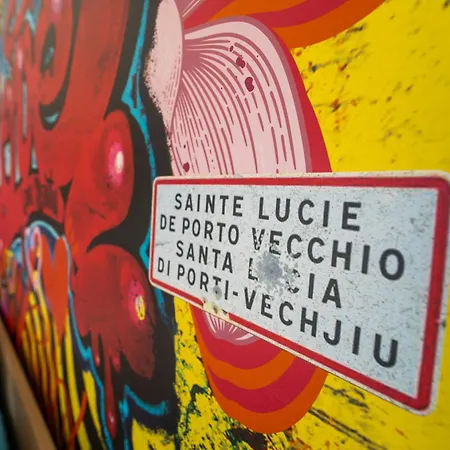 Lavu Santu Piscine Privee Vue Mer/montagnes * Zonza